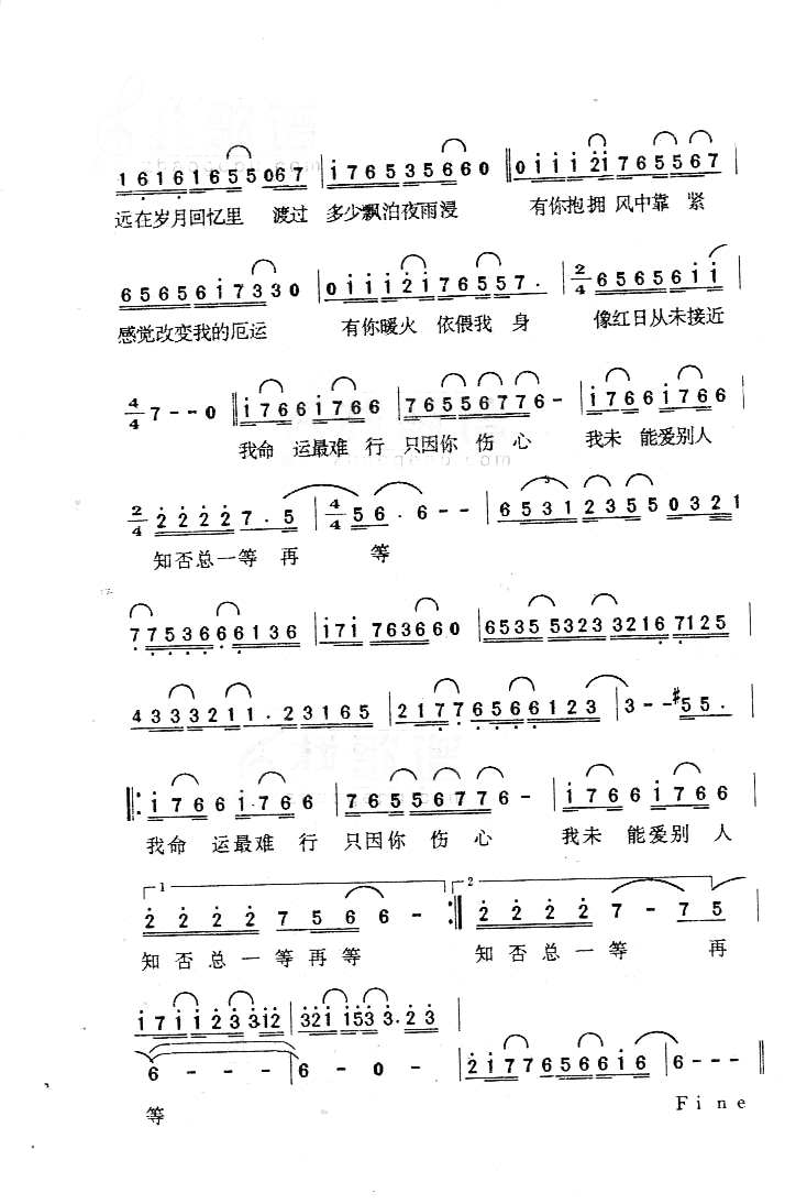 只因你伤心简谱