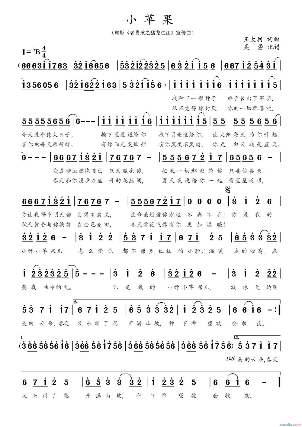 筷子兄弟小苹果简谱_小苹果歌词