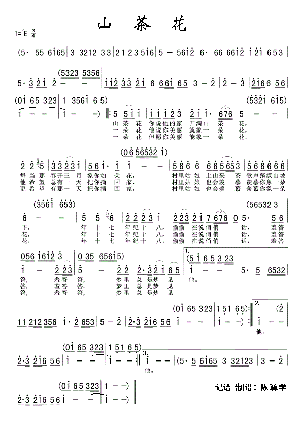 山茶花简谱邓丽君_邓丽君山茶花歌词