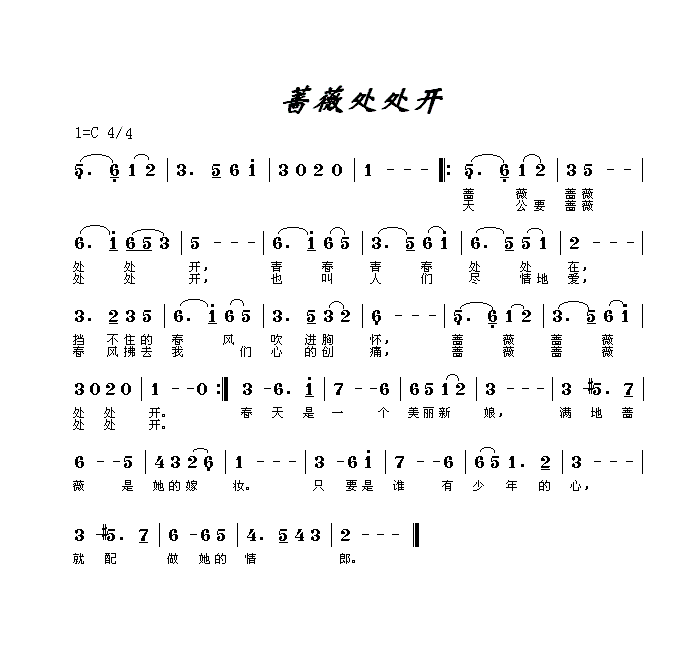 蔷薇处处开简谱