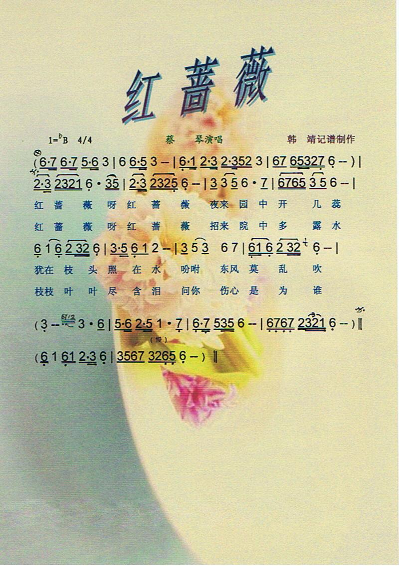 最新红蔷薇歌词歌谱有哪些