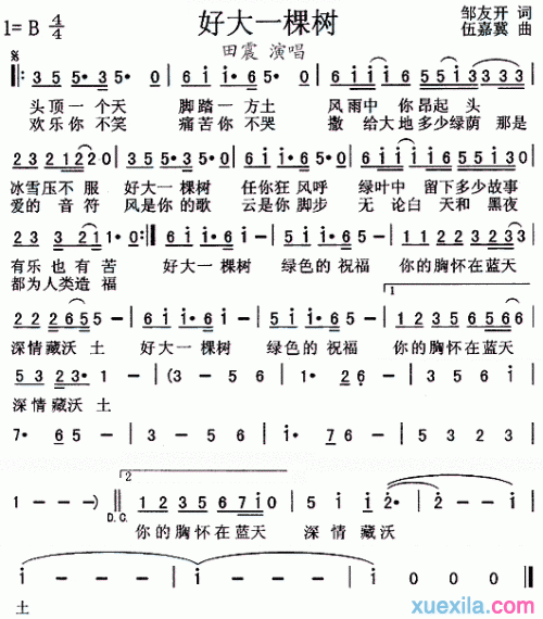 好大一棵树简谱_好大一棵树歌词