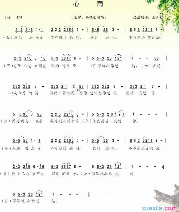 杨钰莹毛宁心雨简谱_心雨歌词