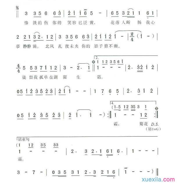 周杰伦菊花台简谱_菊花台歌词歌谱