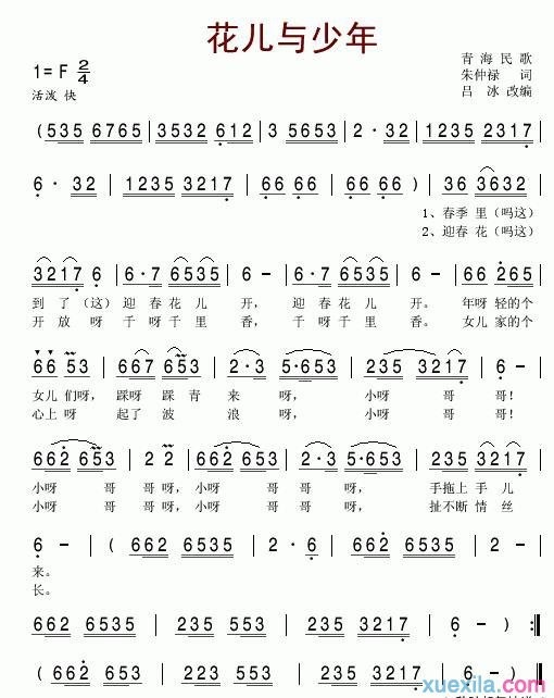 花儿与少年简谱_花儿与少年歌词