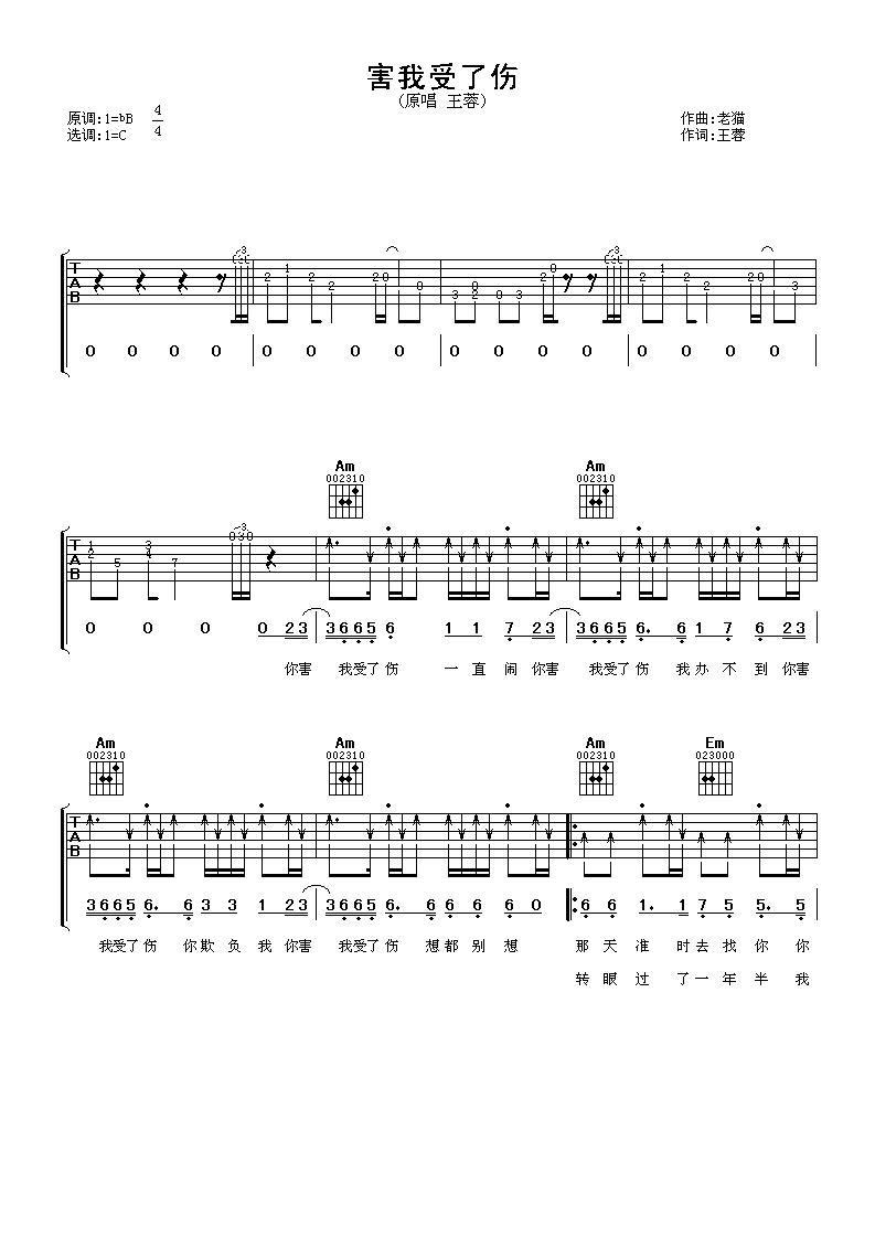 害我受了伤吉他谱 王蓉