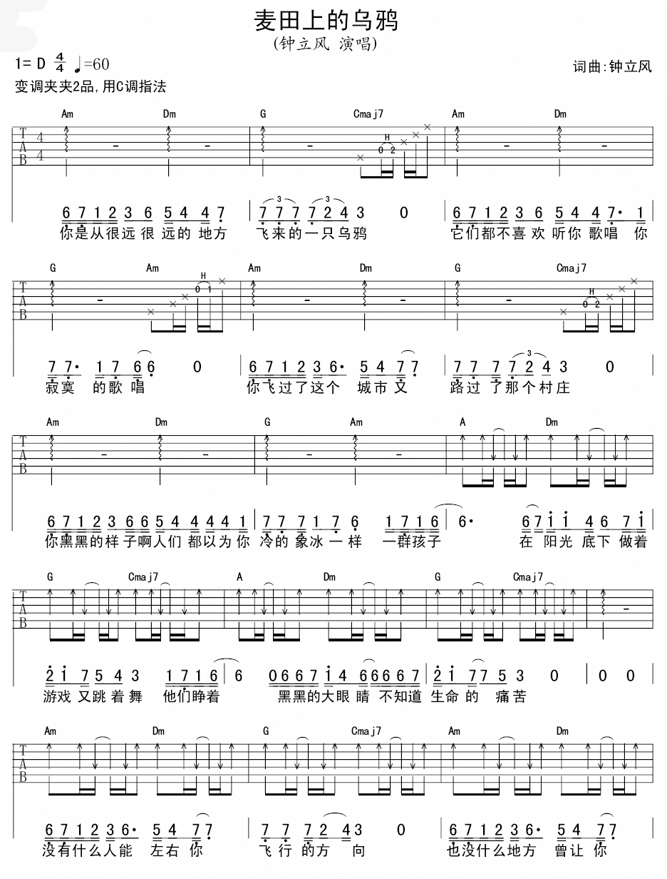 钟立风麦田上的乌鸦吉他谱