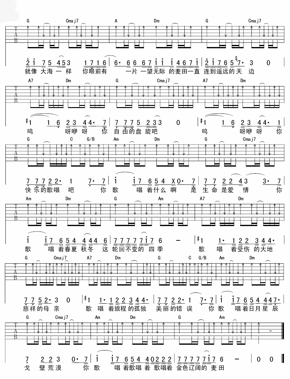 钟立风麦田上的乌鸦吉他谱