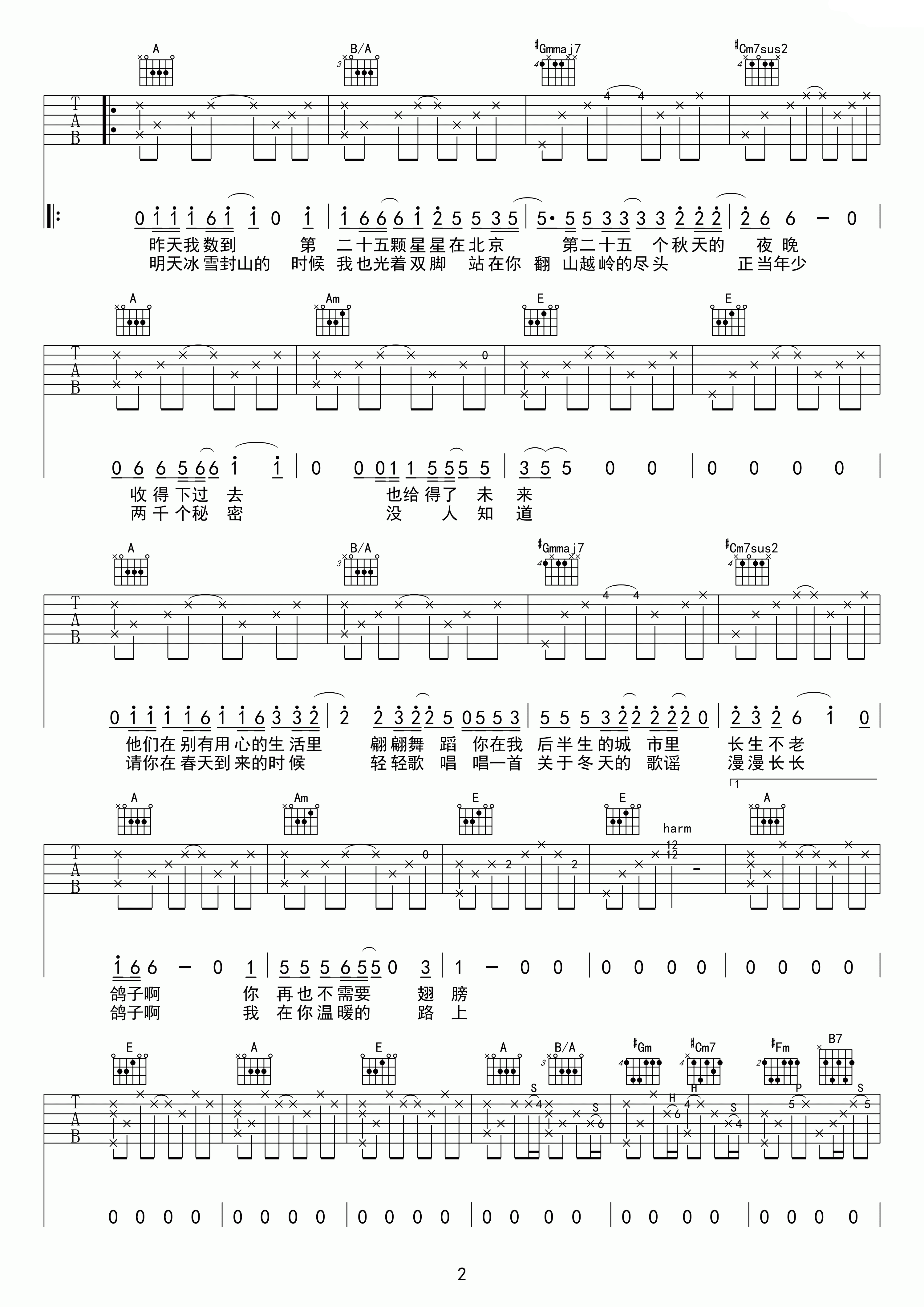 鸽子吉他谱宋冬野
