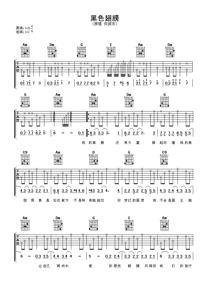 黑色翅膀吉他谱 何润东