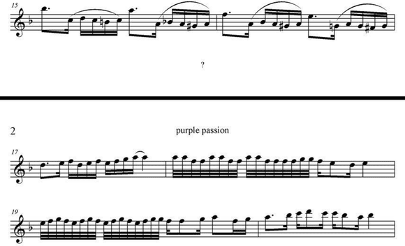purple passion小提琴谱