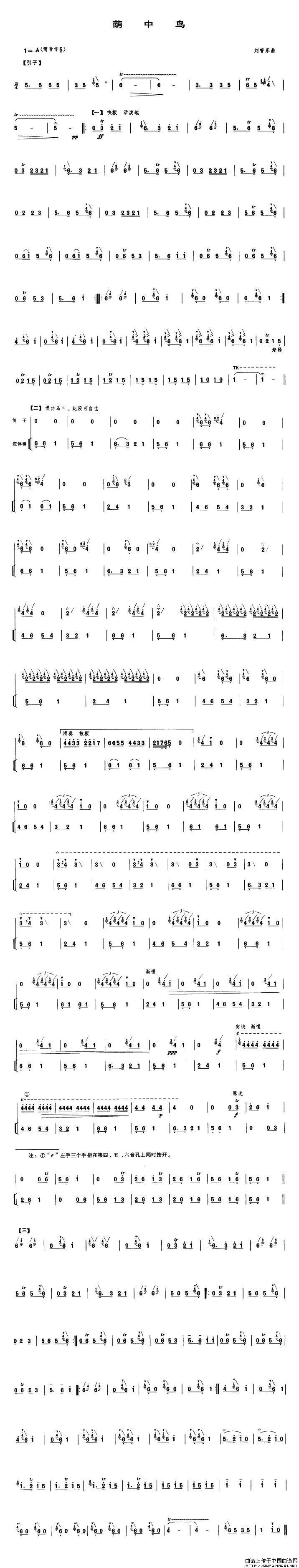 荫中鸟笛子曲谱