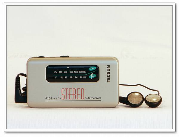 Tecsun/德生 R-101微型调频/调幅立体声收音机