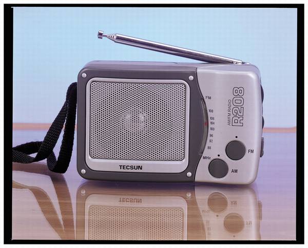 Tecsun/德生 R-208小型台式调频/调幅收音机