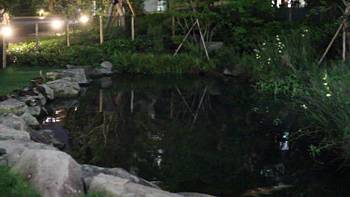 ʾ1 ڰеĶƬʾ(Թ۲ĳ)