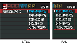 ͼ2 ͼߴ/֡Ƶû(EOS 550D)