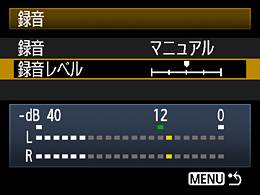 ͼ4 ¼ƽû(EOS 5D Mark II)