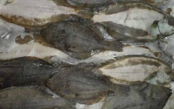 ƫ������ʲô�㣿