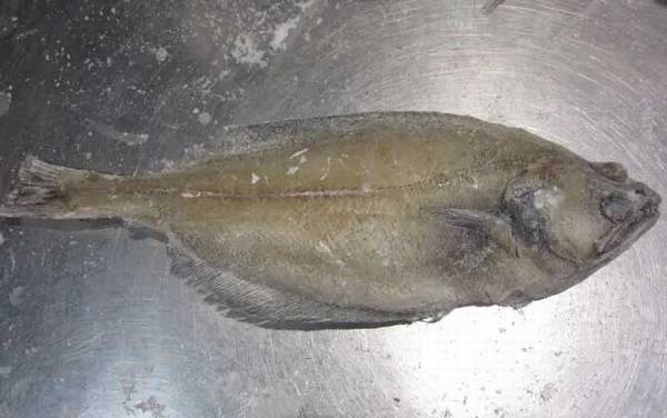 ƫ������ʲô�㣿