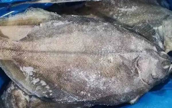 ƫ������ʲô�㣿