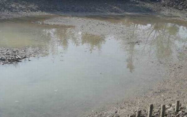 反硝化细菌是什么生物?