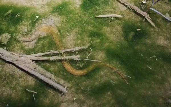 ɱ������Ļ��б�Ӧ��