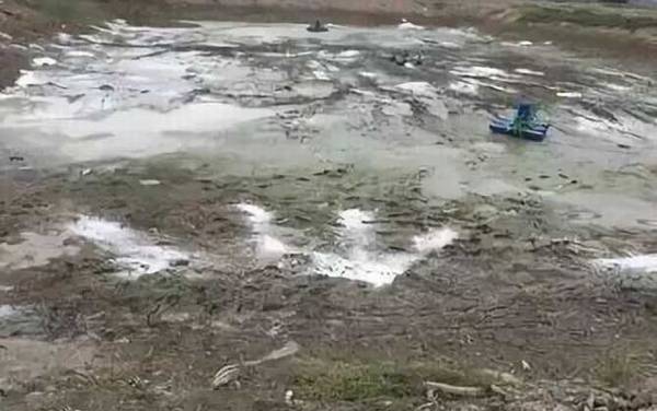 鱼塘消毒用什么最好?