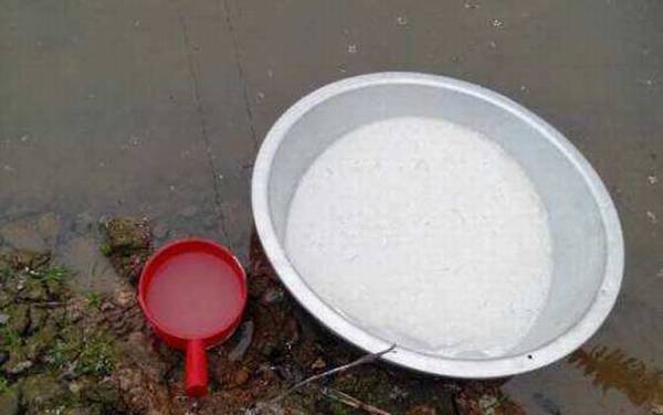 鱼塘消毒用什么最好?