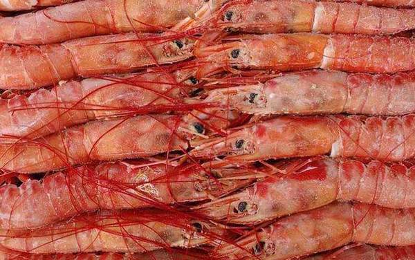 阿根廷红虾多少钱一斤?