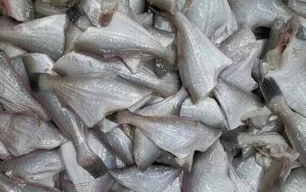 耗儿鱼是什么鱼?