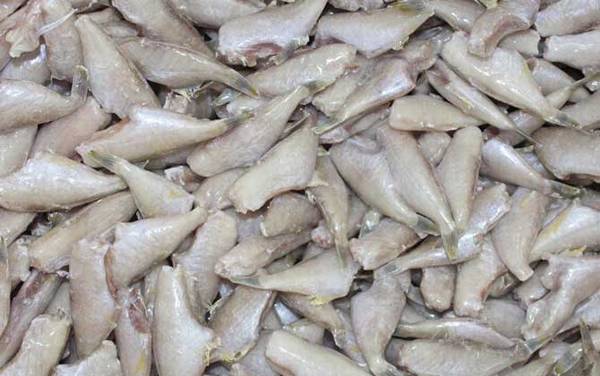 耗儿鱼价格多少钱一斤?