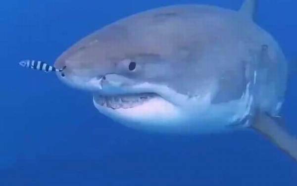 �������ʲô���㣿