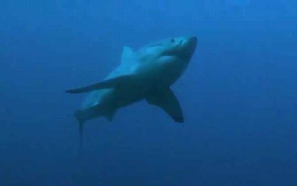 �������ʲô���㣿