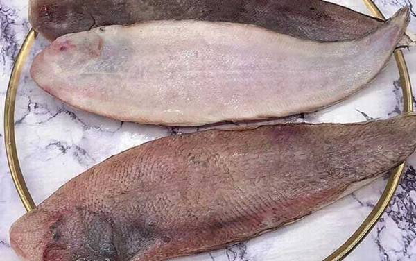 龙利鱼价格多少钱一斤?