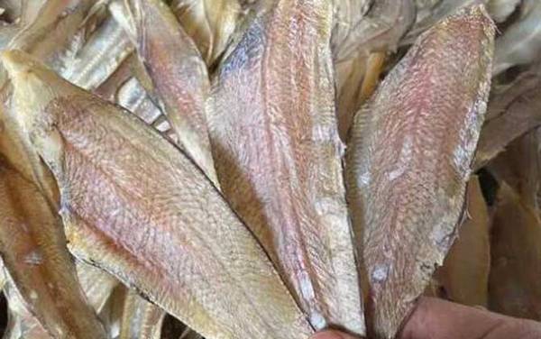 ������Ͱ�ɳ����ʲô����