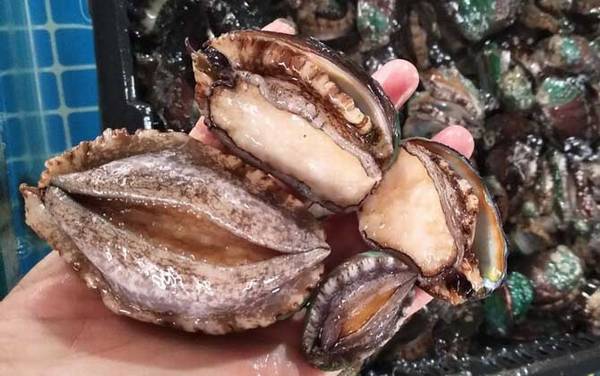 鲍鱼蒸多久才可以吃?