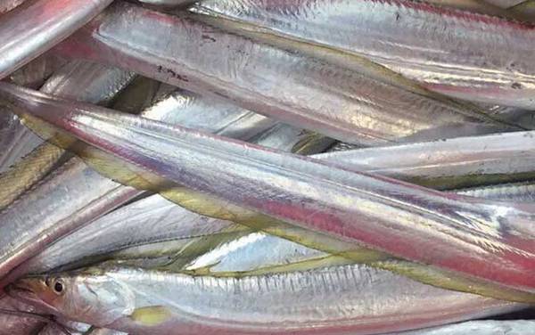 带鱼怎么处理干净?