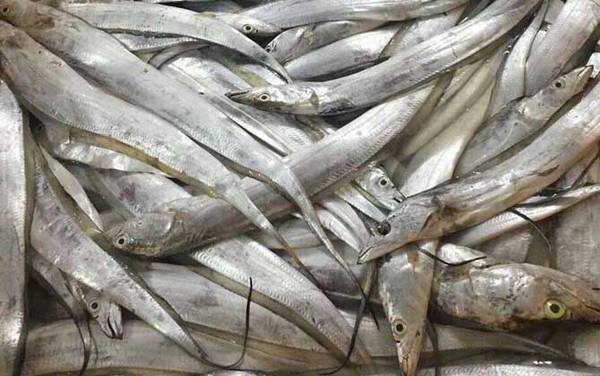 带鱼怎么处理干净?