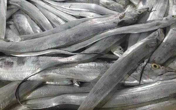 带鱼怎么处理干净?