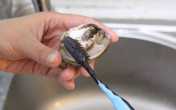 鲍鱼怎么杀和清洗?