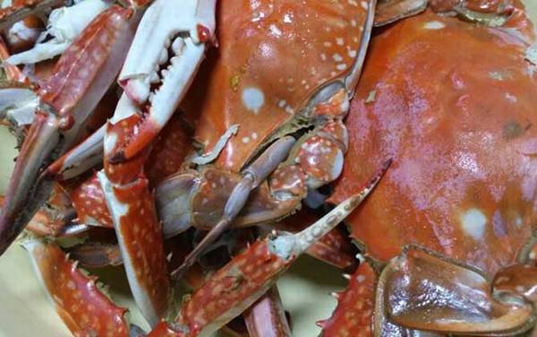 孕妇能吃螃蟹吗?