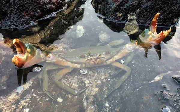 ץ�з���ɼ�ע������