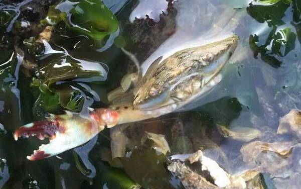 ץ�з���ɼ�ע������