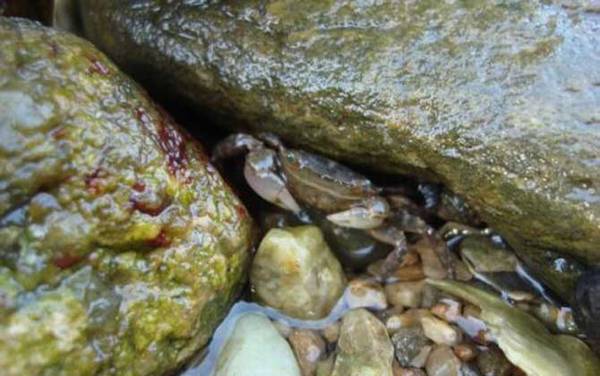 ץ�з���ɼ�ע������