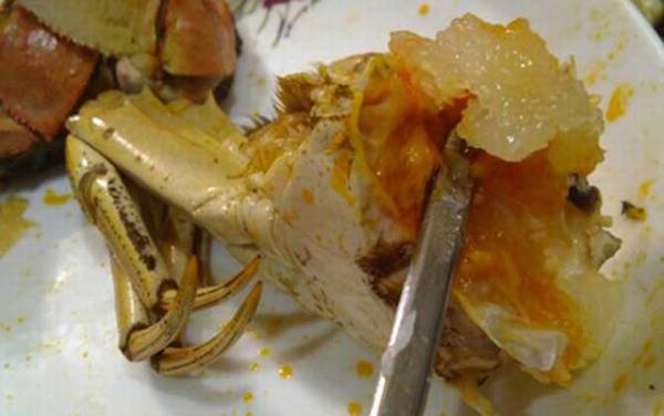 蟹膏是什么东西?