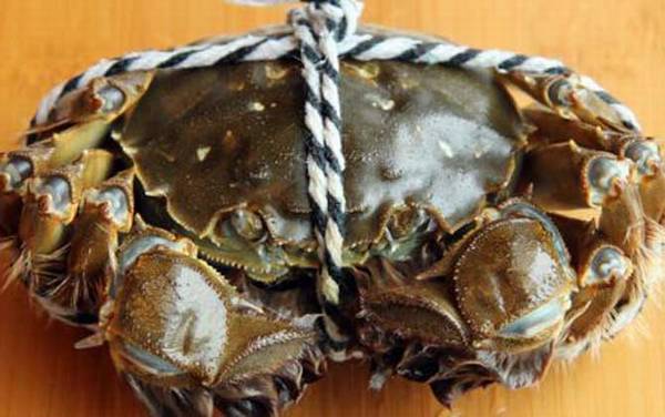 梁子湖大闸蟹是什么蟹种?