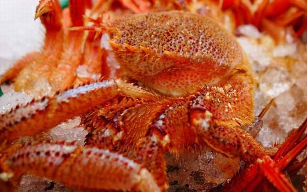 红毛蟹是什么蟹种?
