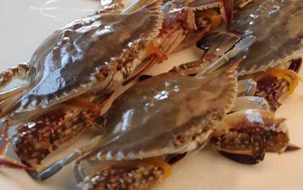 梭子蟹蒸多久才能蒸熟?