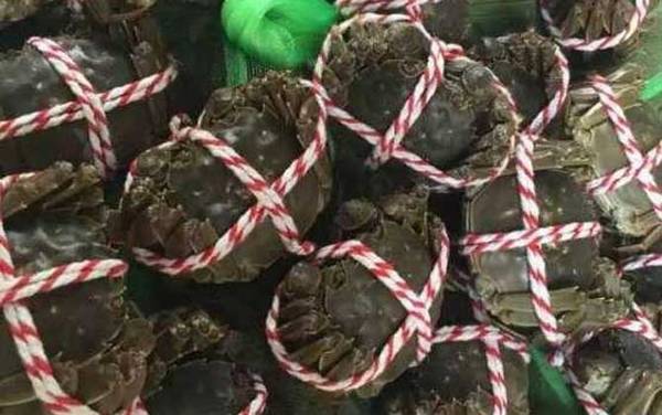 大闸蟹什么时候吃最好?