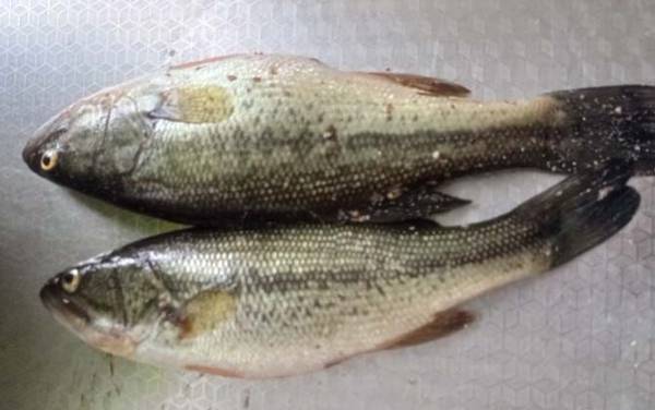 ��������۸����Ǯһ�